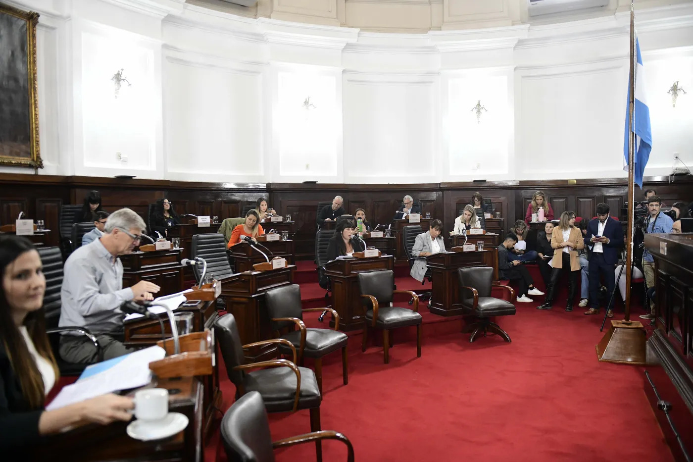 El Concejo Deliberante aprobó la compactación de autos sin reclamar