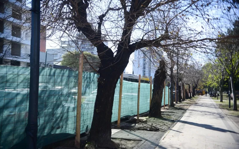 La Municipalidad de La Plata ya cerró el Parque Saavedra para su remodelación